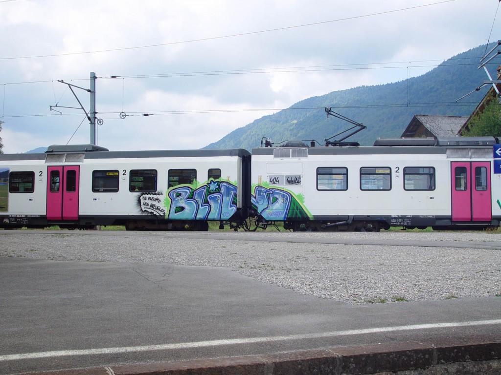 Graffiti-Suisse-Train-Blind