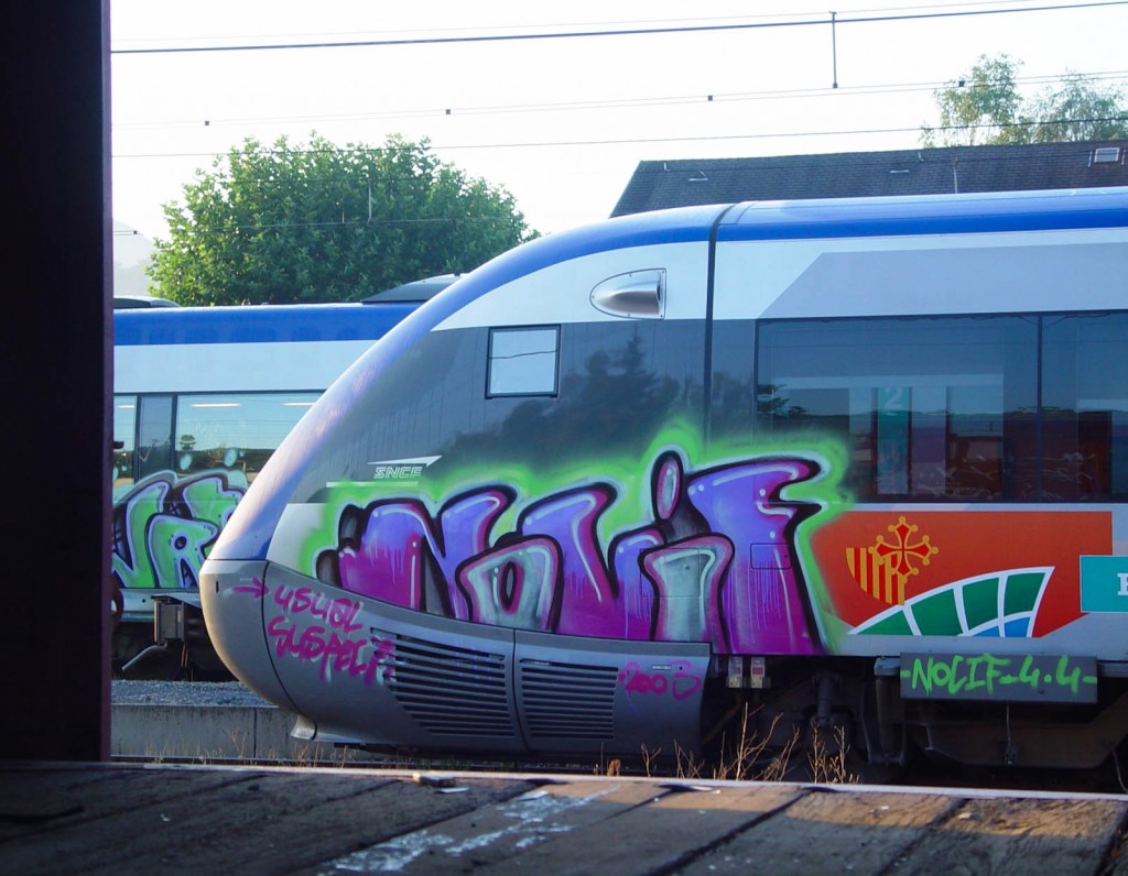 Graffiti-Train-Nocif
