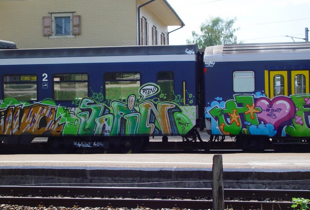 Graffiti-Train-Sapin