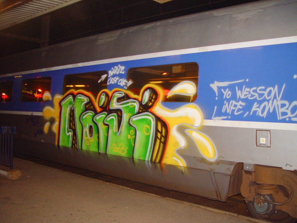 Graffiti-Train-TGV-Moisi