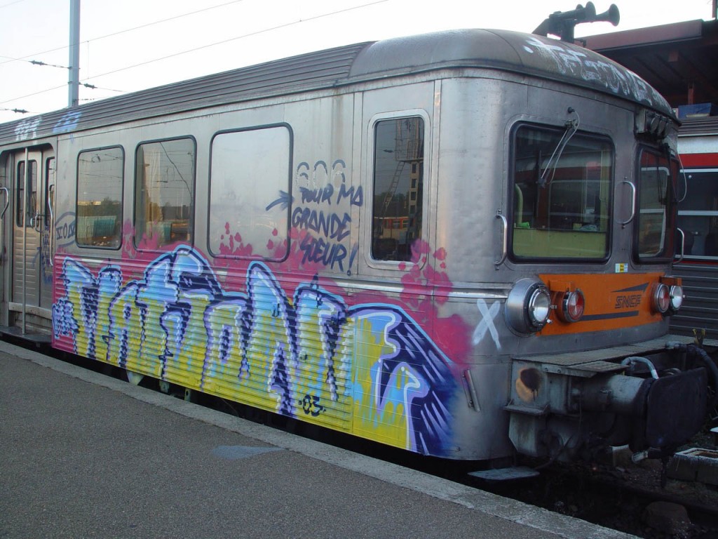 Graffiti-Train-Watsone-petit-gris