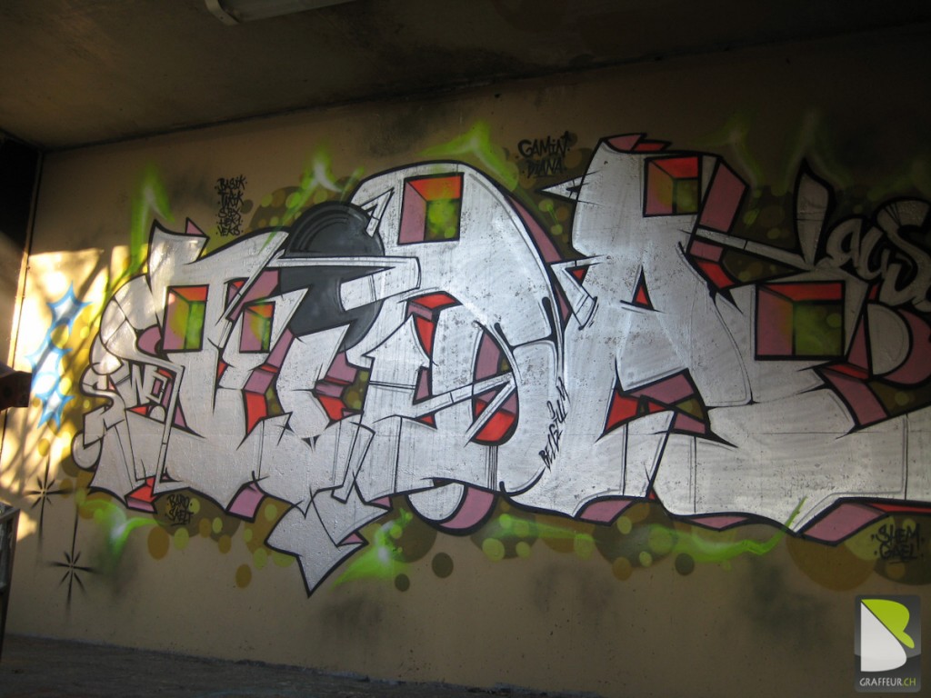 Esteban-Anniversaire-original-Graffiti-Suisse-16