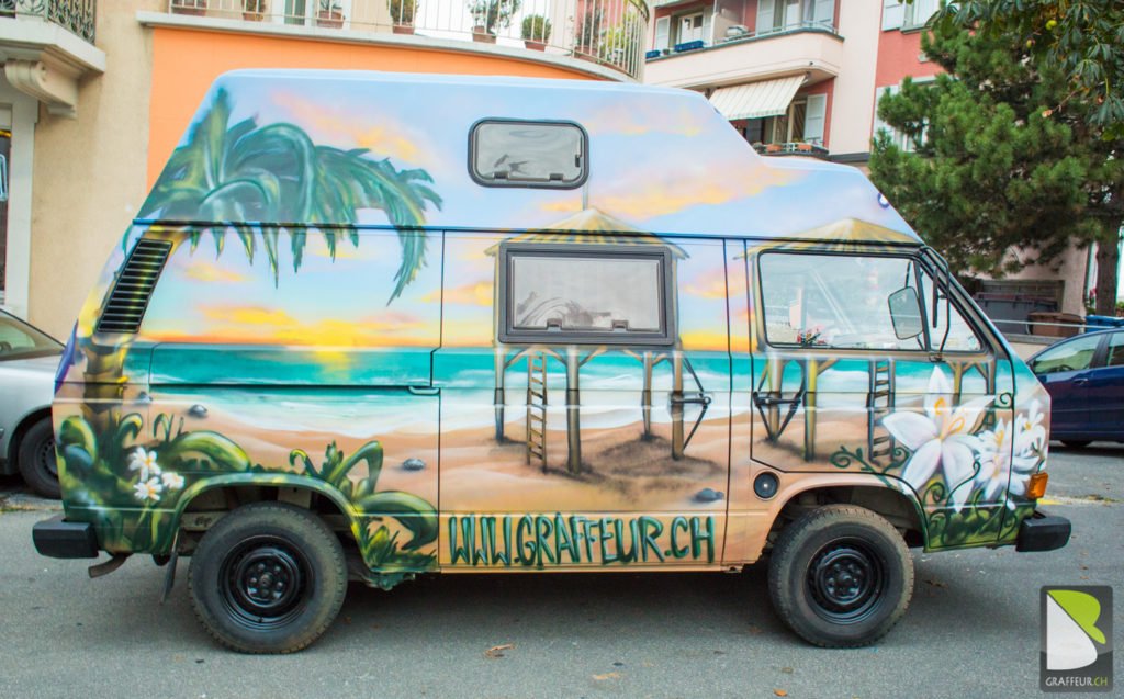 Bus-vw-paysage-Graff-Suisse-2