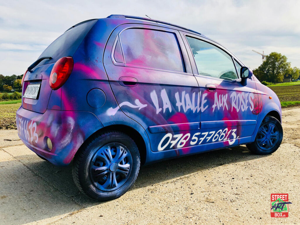 Graffiti-art-on-car-2-voiture-tag-spray-graffeur-11