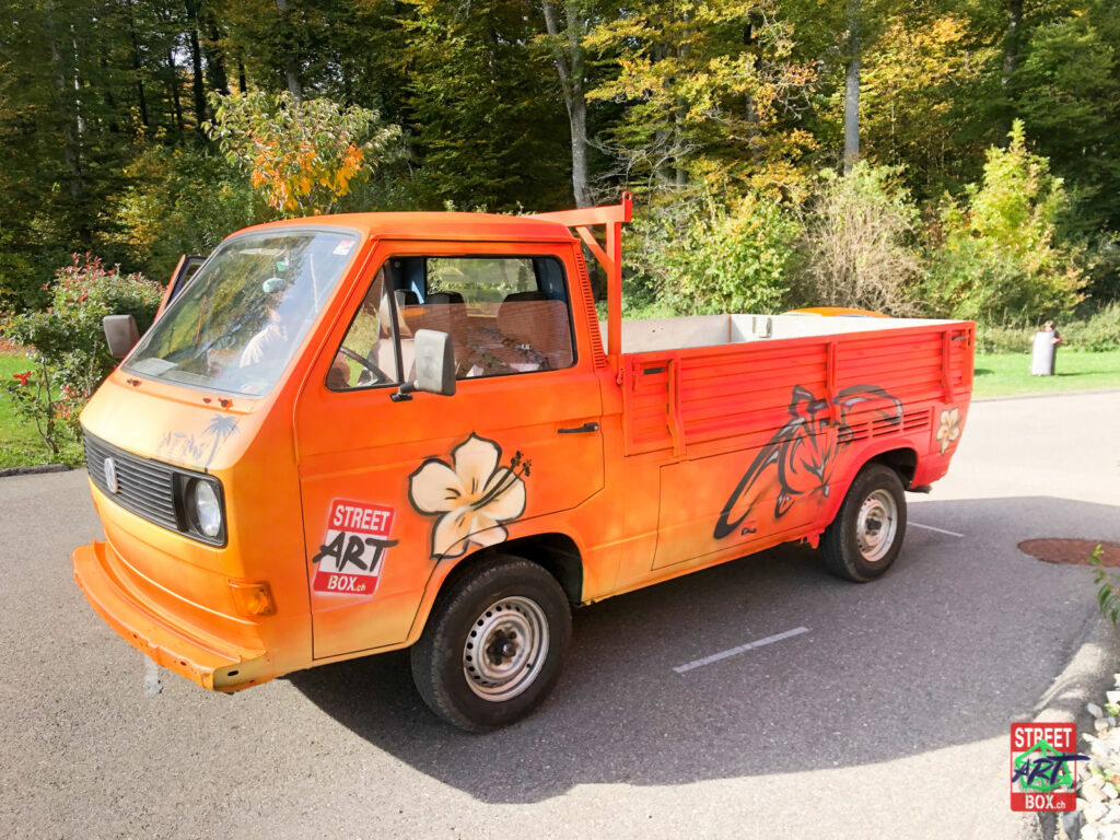 Graffiti-art-on-car-2-voiture-tag-spray-graffeur-2