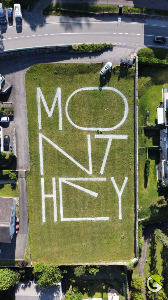 Monthey-Landpainting-Landart-Tour-de-france-Peinture-Herbe-Gazon-Champs-montagne-artiste-suisse-2