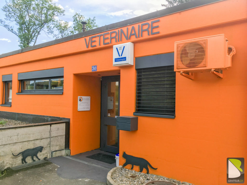 Veterinaire-Lausanne-Peinture-facade-batiment-complet-logo-peintre-entree