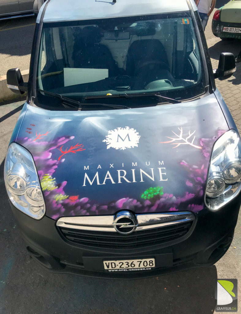 Voiture-Fond-Marin-Underwater-Graffiti-Marine-Maximum-Aquarium-5