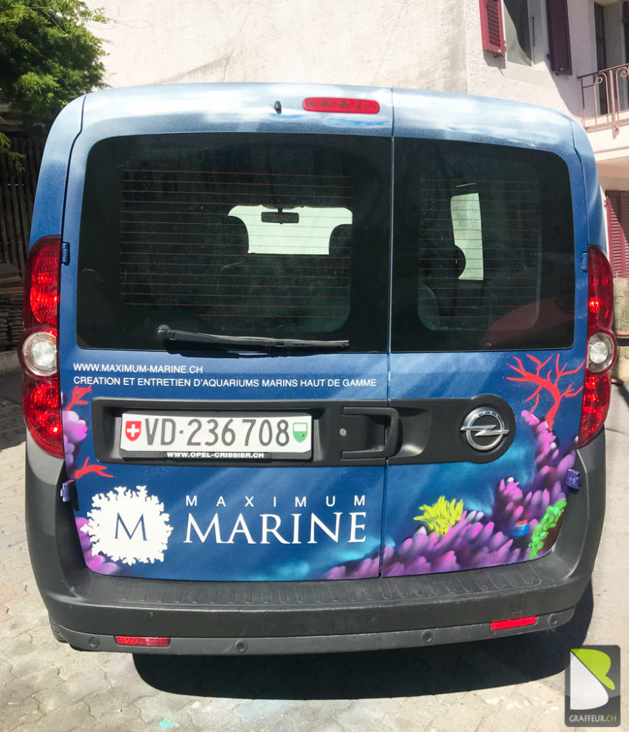 Voiture-Fond-Marin-Underwater-Graffiti-Marine-Maximum-Aquarium-arriere